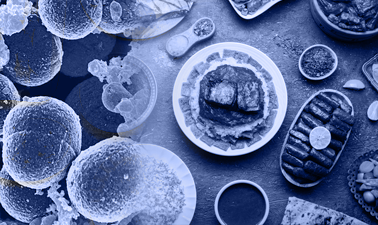 Research: Carbapenem and Colistin-Resistant Hypervirulent Klebsiella Pneumoniae: An Emerging Threat Transcending the Egyptian Food Chain  vet101
