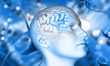 The Neuro - Exposome: Targeting Well!